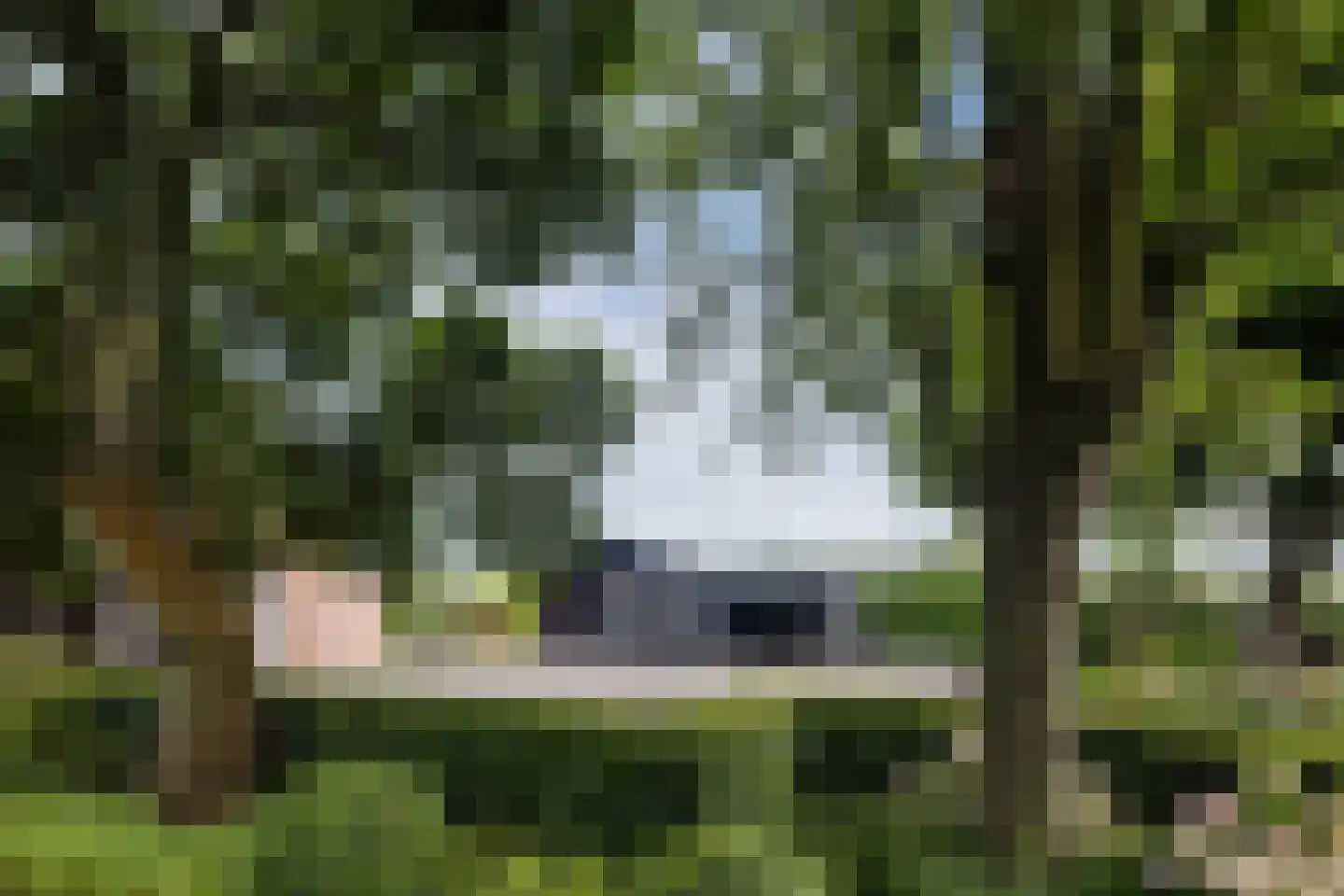 Laverdonk 9 Heeswijk-Dinther thumbnail 40