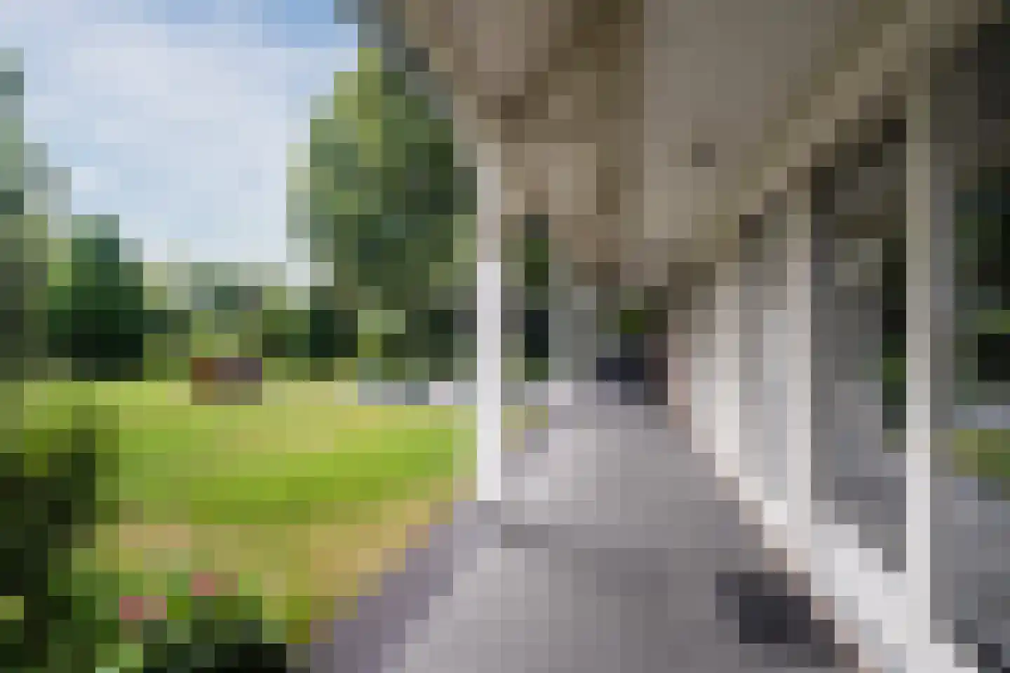Laverdonk 9 Heeswijk-Dinther thumbnail 41