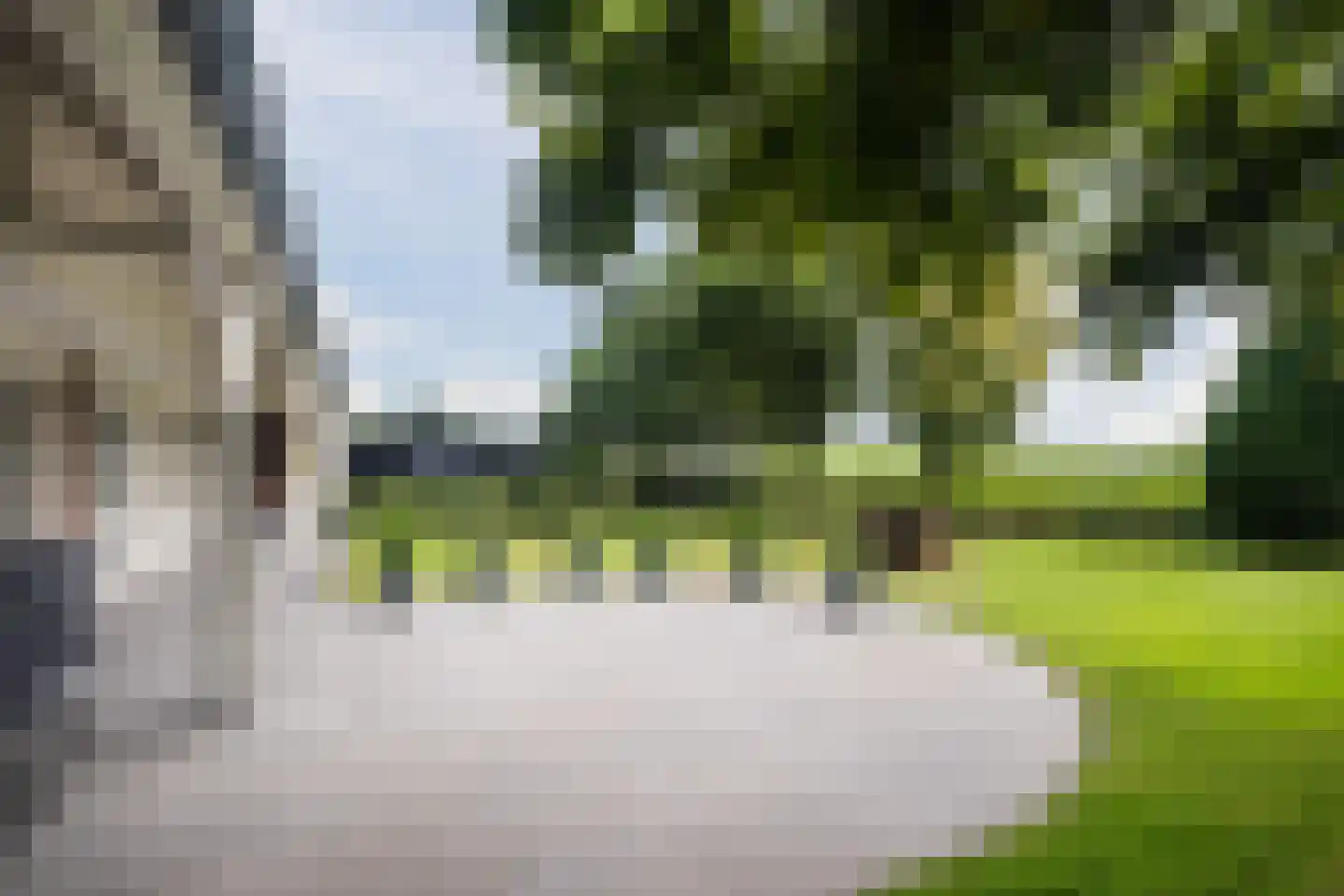 Laverdonk 9 Heeswijk-Dinther thumbnail 42