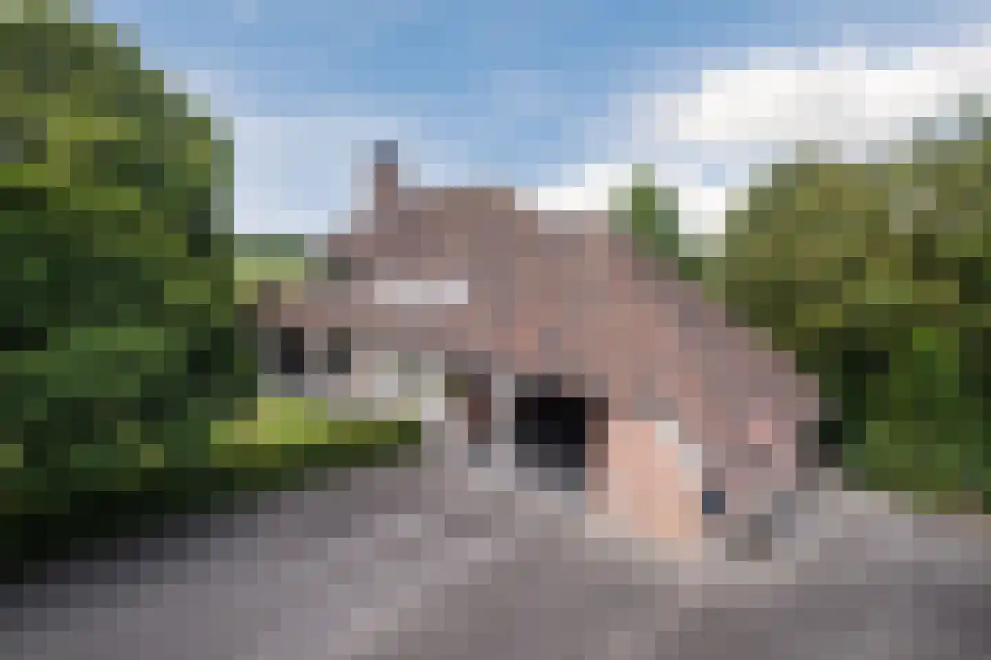 Laverdonk 9 Heeswijk-Dinther thumbnail 45