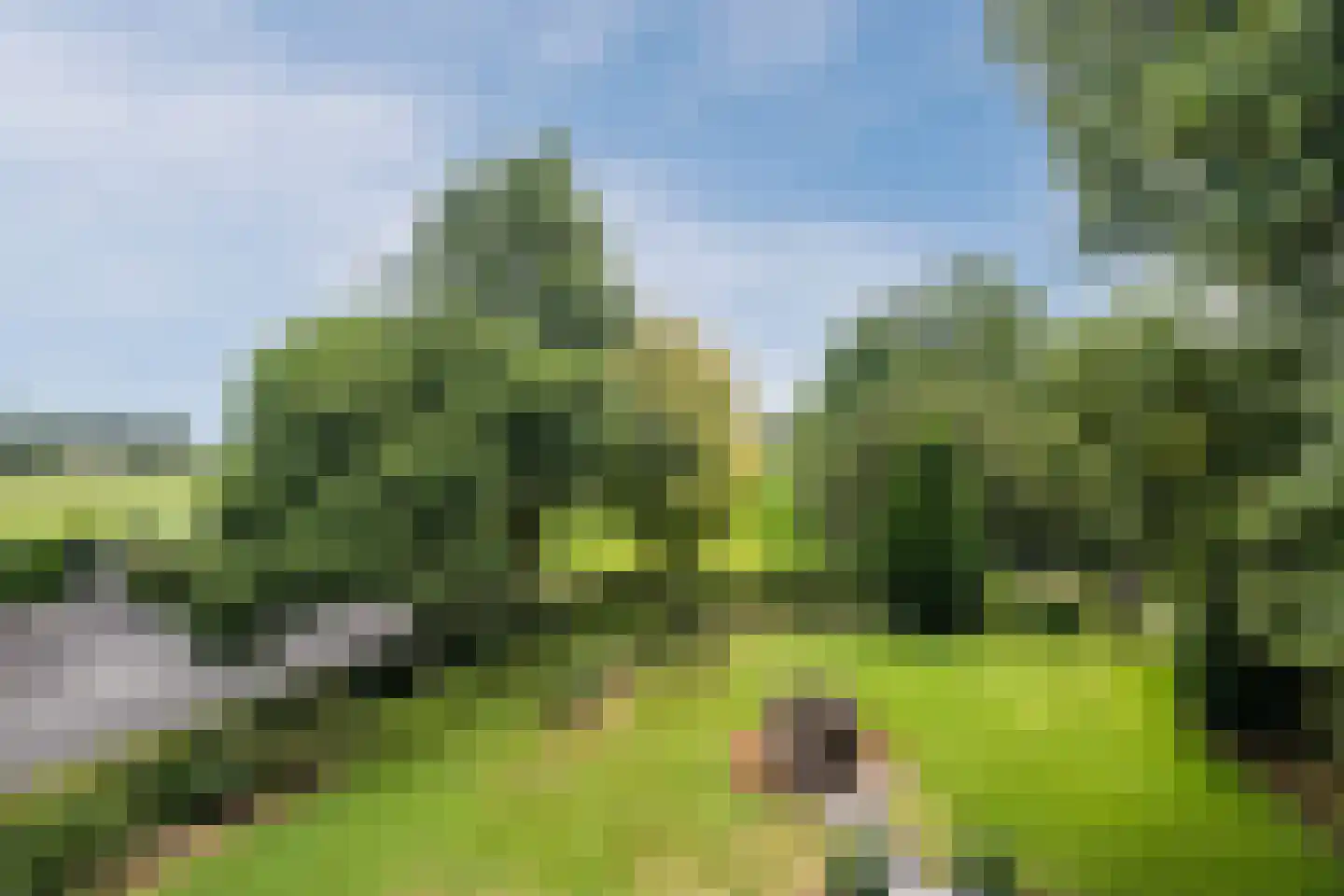 Laverdonk 9 Heeswijk-Dinther thumbnail 48