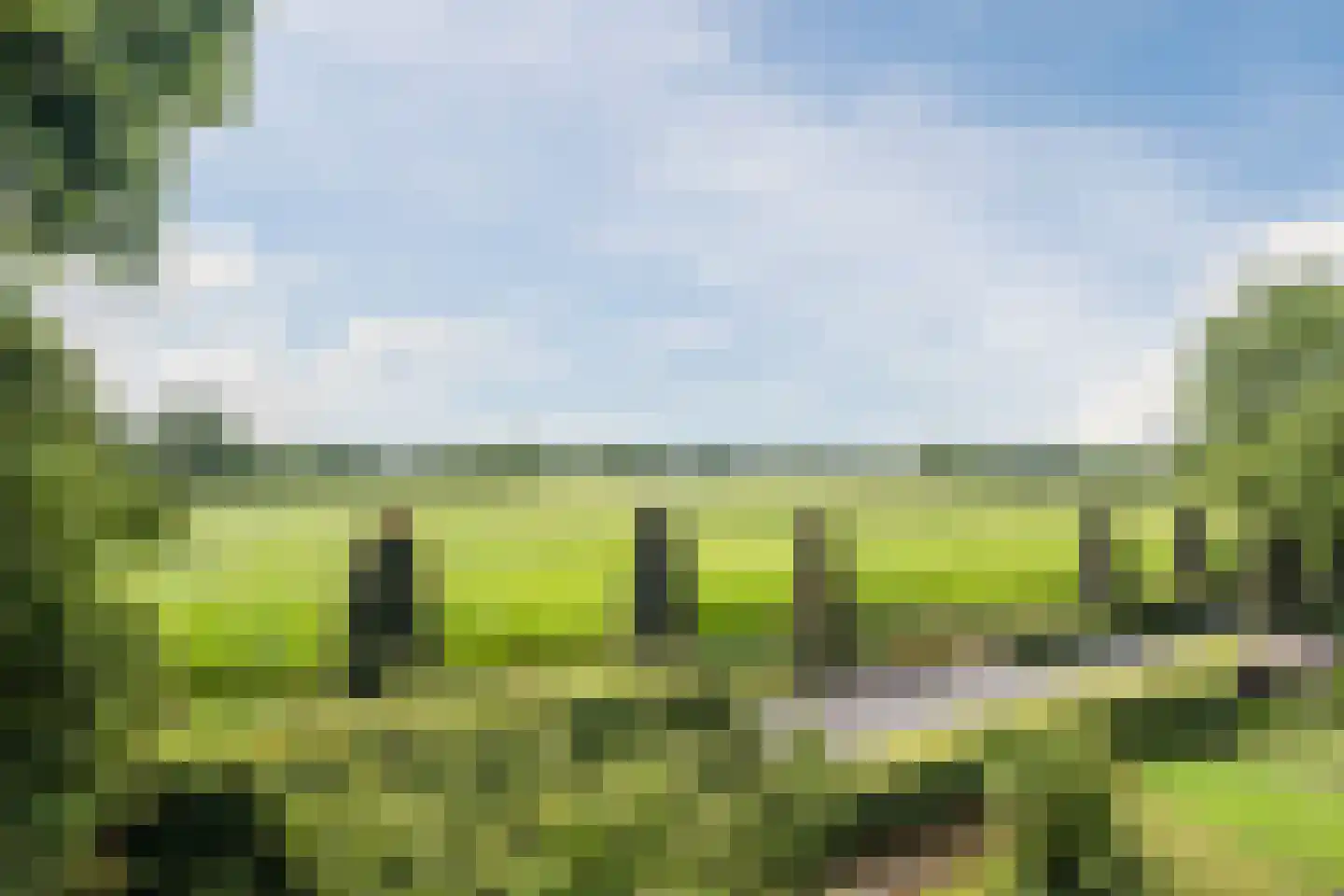 Laverdonk 9 Heeswijk-Dinther thumbnail 49