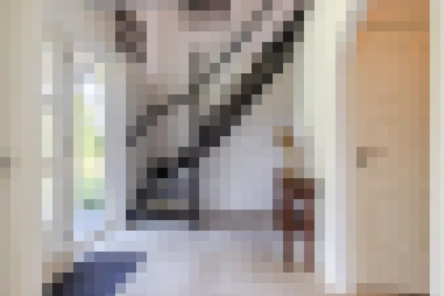 Laverdonk 9 Heeswijk-Dinther thumbnail 5