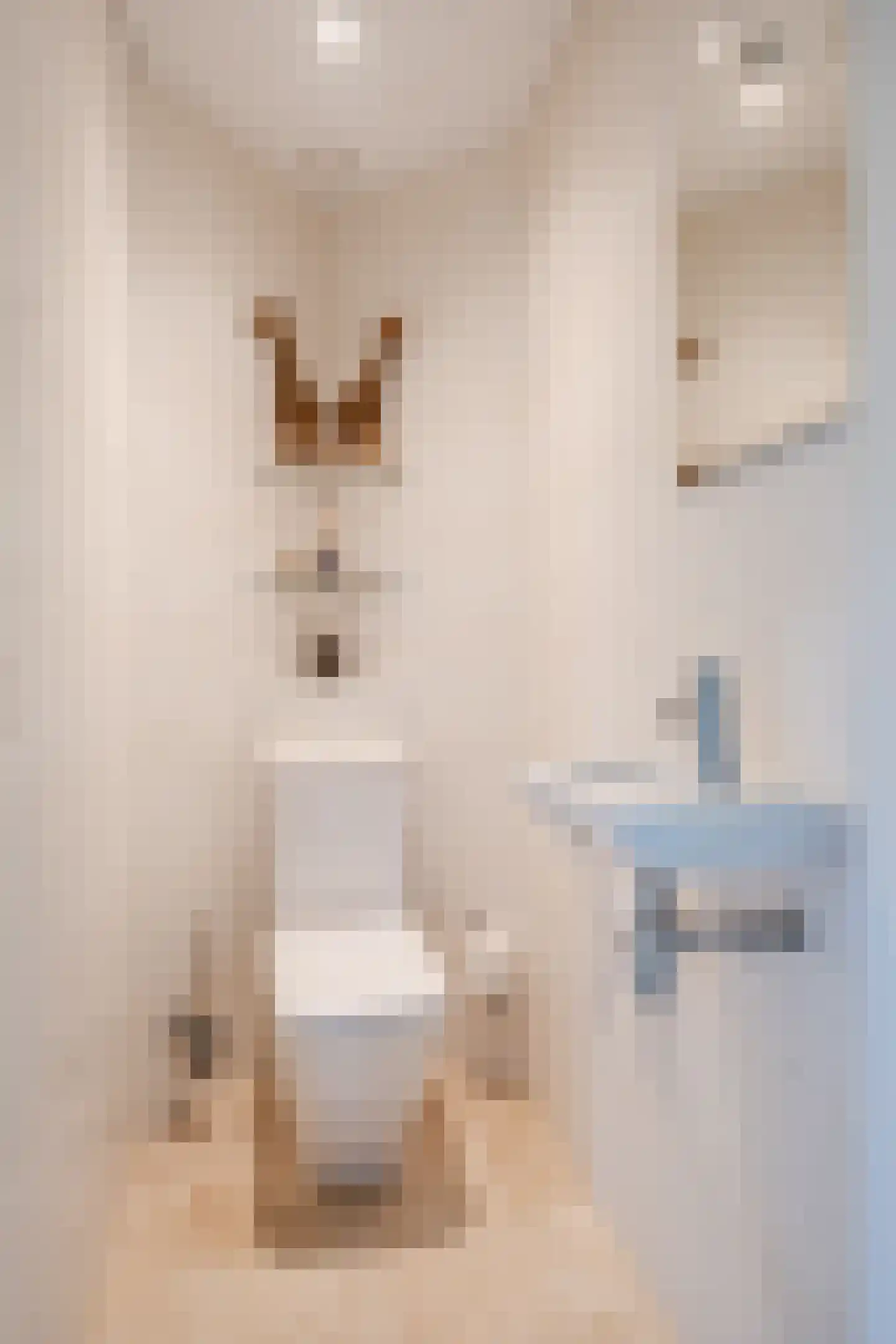 Laverdonk 9 Heeswijk-Dinther thumbnail 7