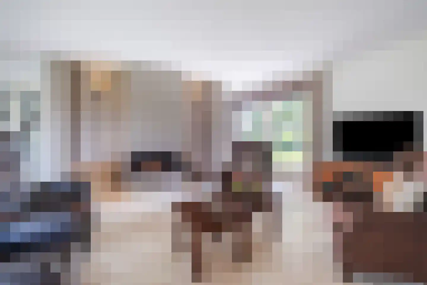 Laverdonk 9 Heeswijk-Dinther thumbnail 8