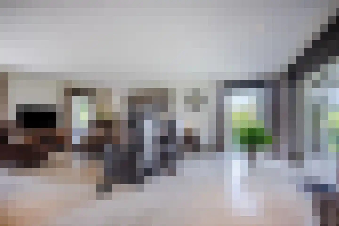 Laverdonk 9 Heeswijk-Dinther thumbnail 9