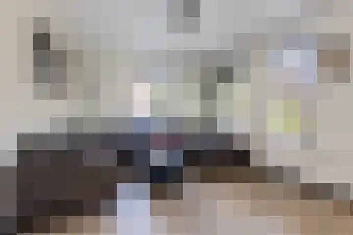 Laveringsveen 5 Dalen thumbnail 10