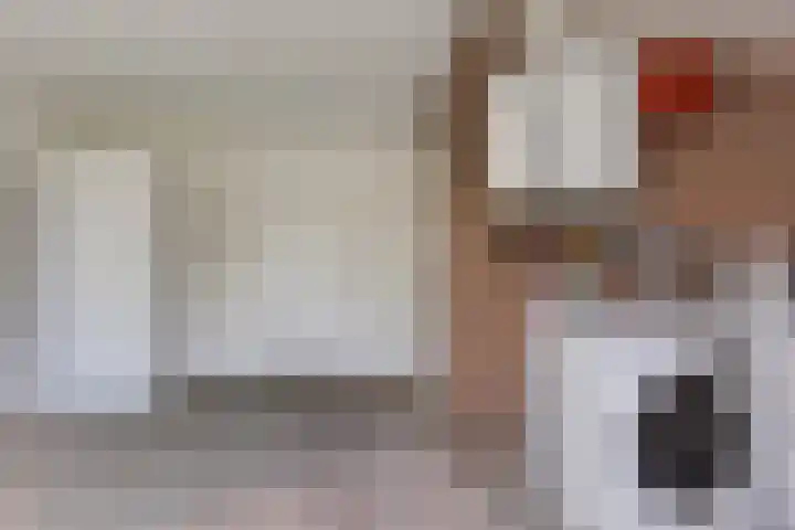 Laveringsveen 5 Dalen thumbnail 18