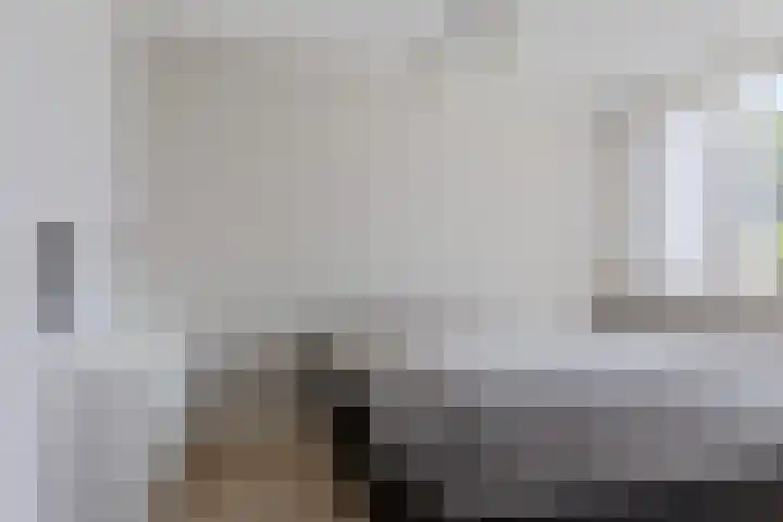Laveringsveen 5 Dalen thumbnail 27