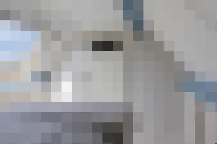 Laveringsveen 5 Dalen thumbnail 33