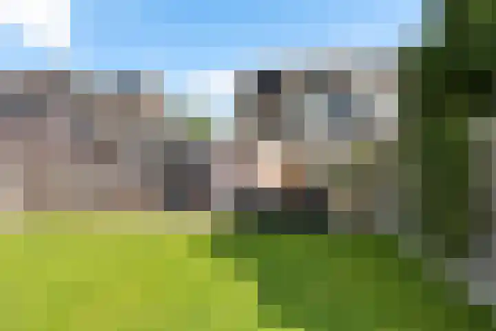 Laveringsveen 5 Dalen thumbnail 35