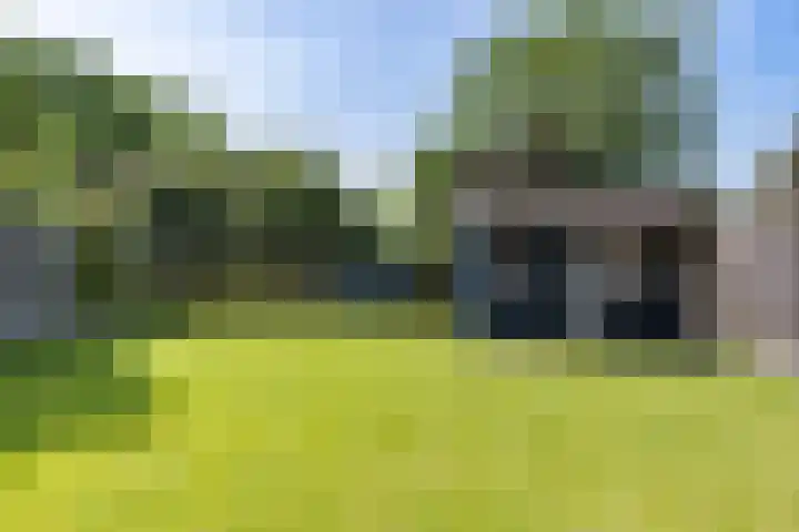 Laveringsveen 5 Dalen thumbnail 37
