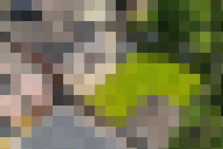 Laveringsveen 5 Dalen thumbnail 38