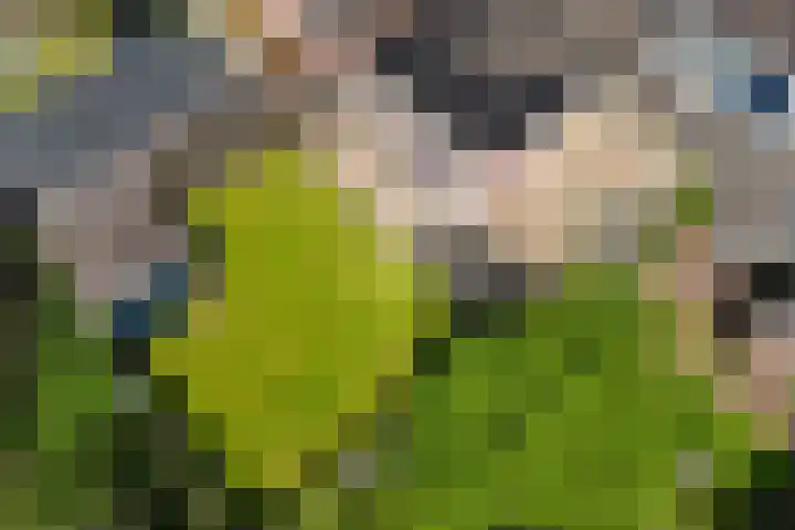 Laveringsveen 5 Dalen thumbnail 39