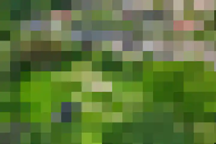 Laveringsveen 5 Dalen thumbnail 4