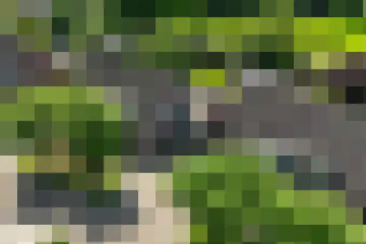Laveringsveen 5 Dalen thumbnail 40