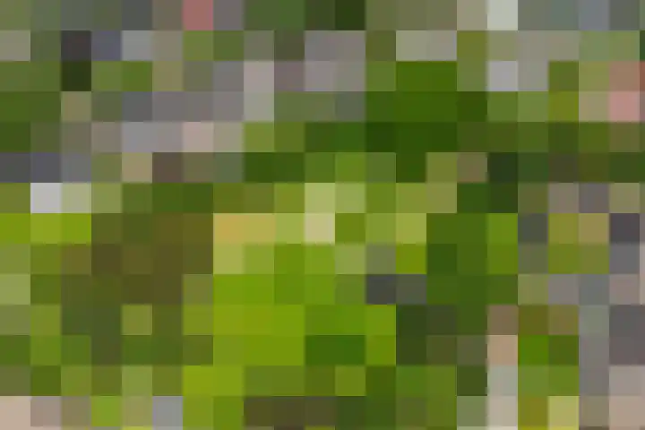 Laveringsveen 5 Dalen thumbnail 42