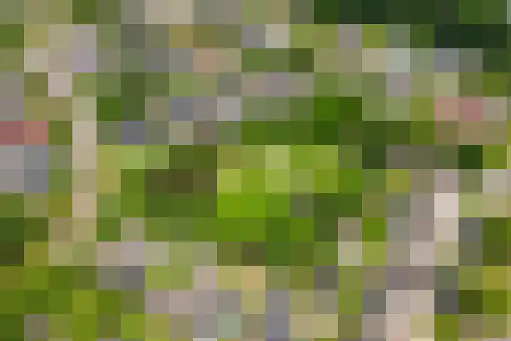 Laveringsveen 5 Dalen thumbnail 43