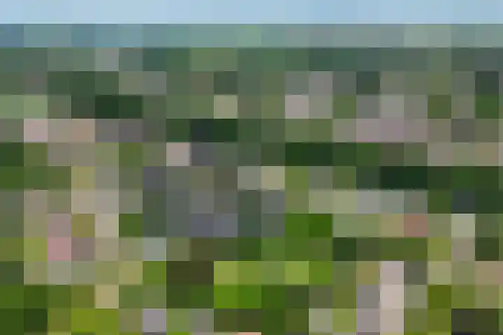 Laveringsveen 5 Dalen thumbnail 44