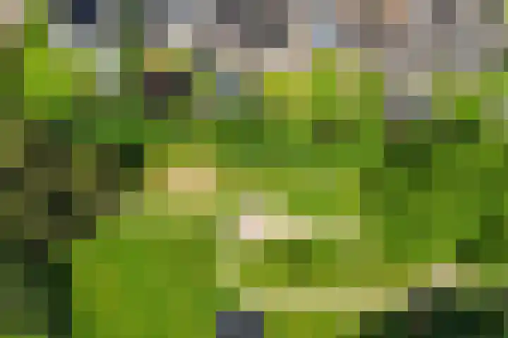 Laveringsveen 5 Dalen thumbnail 5
