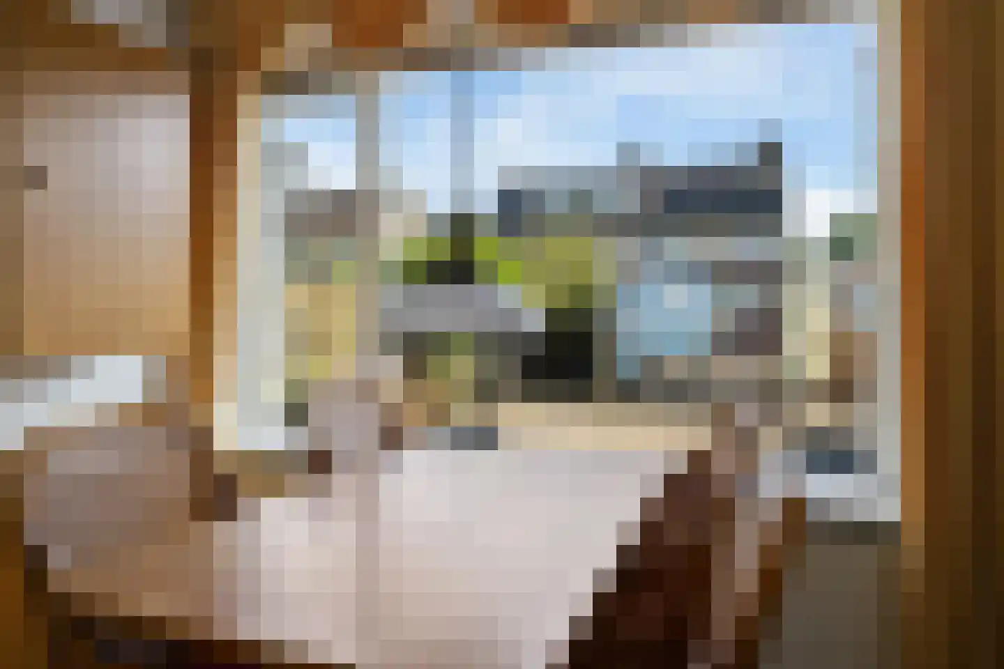 Lavermanstraat 14 Drachten thumbnail 14
