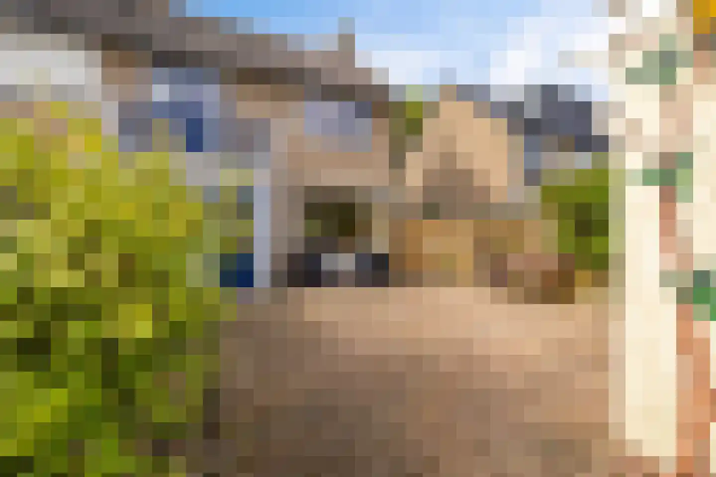 Lavermanstraat 14 Drachten thumbnail 34
