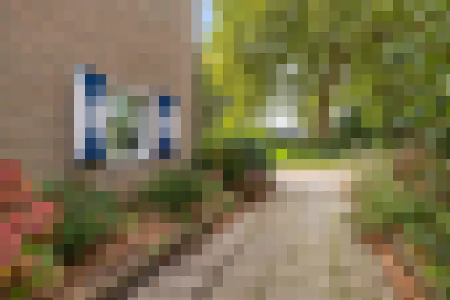 Lavermanstraat 14 Drachten thumbnail 41