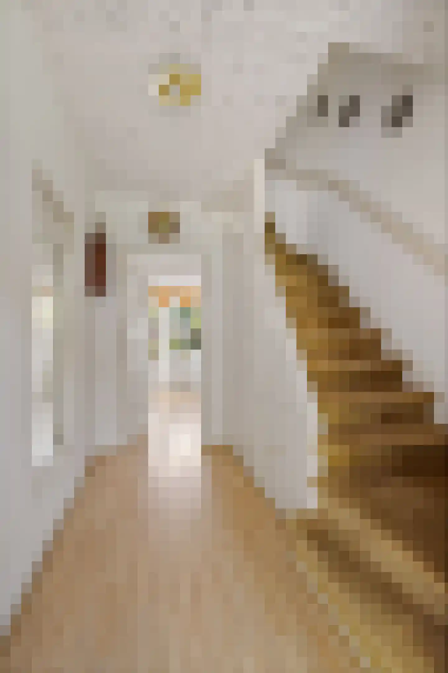 Lavermanstraat 14 Drachten thumbnail 9