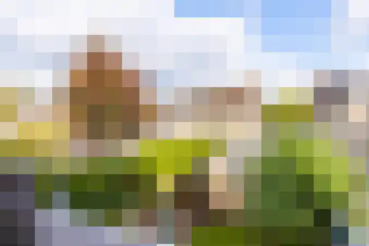 Lavermanstraat 18 Drachten thumbnail 21