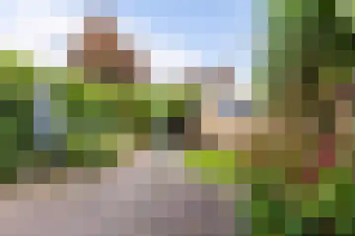 Lavermanstraat 18 Drachten thumbnail 27