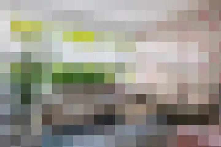 Lavermanstraat 18 Drachten thumbnail 8