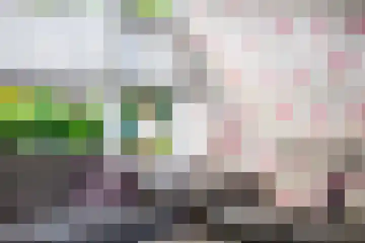 Lavermanstraat 18 Drachten thumbnail 9