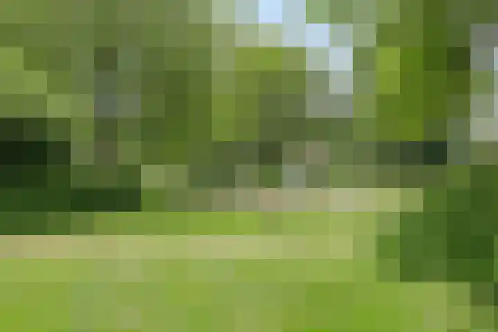 Lavermanstraat 42 Drachten thumbnail 37