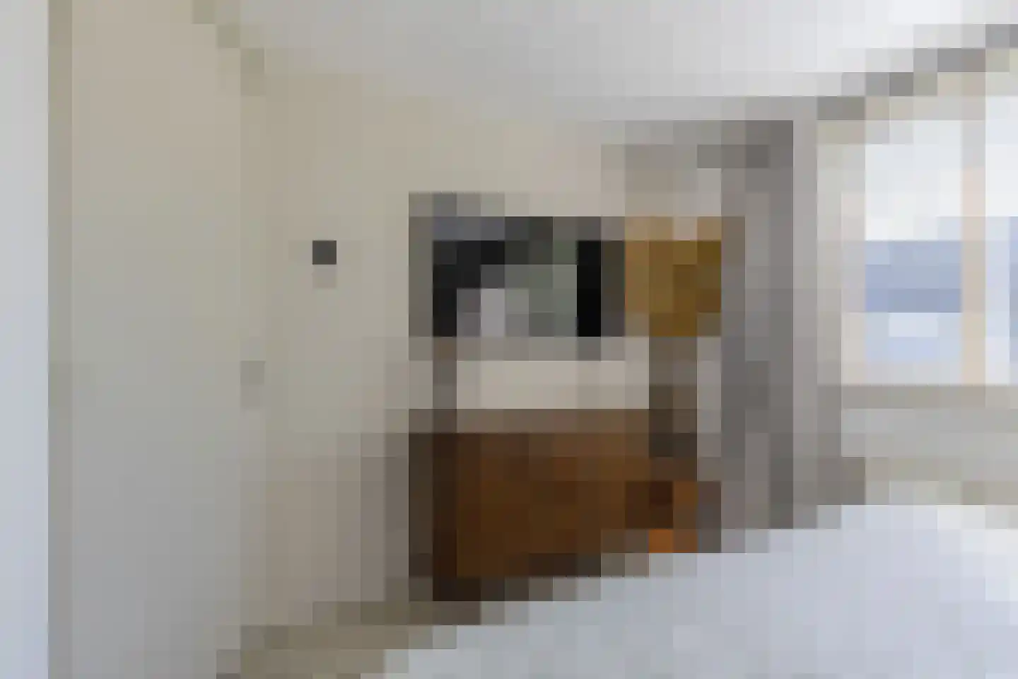 Lavermanstraat 72 Drachten thumbnail 37