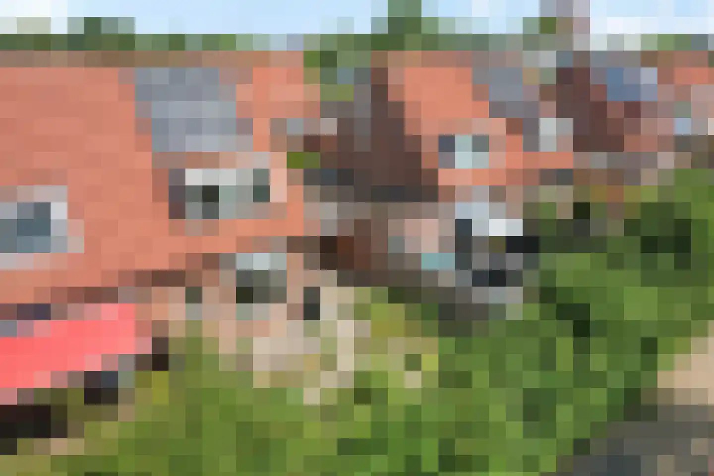 Lawei 17 Heerenveen thumbnail 45