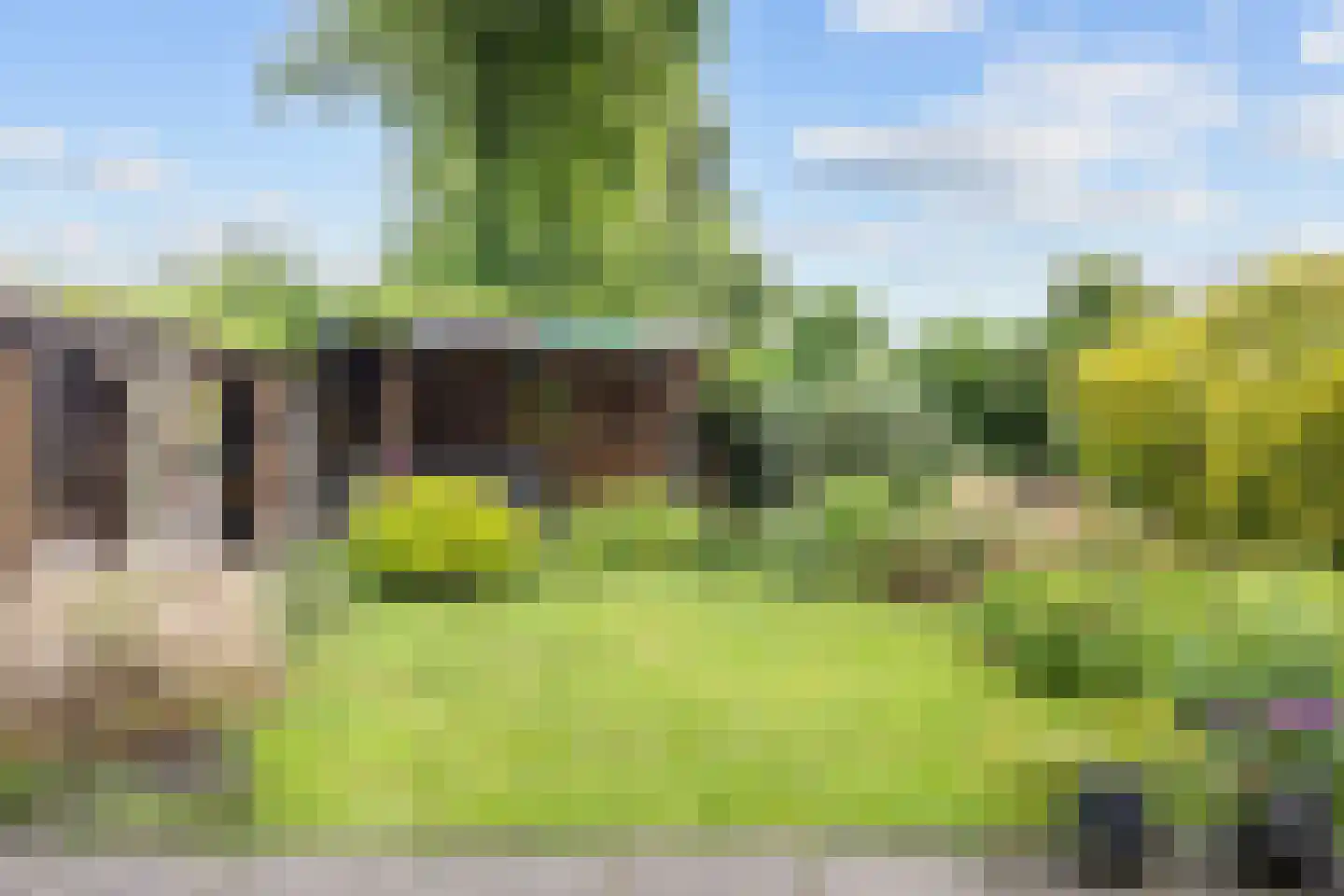 Laweijstraat 19 Haulerwijk thumbnail 46