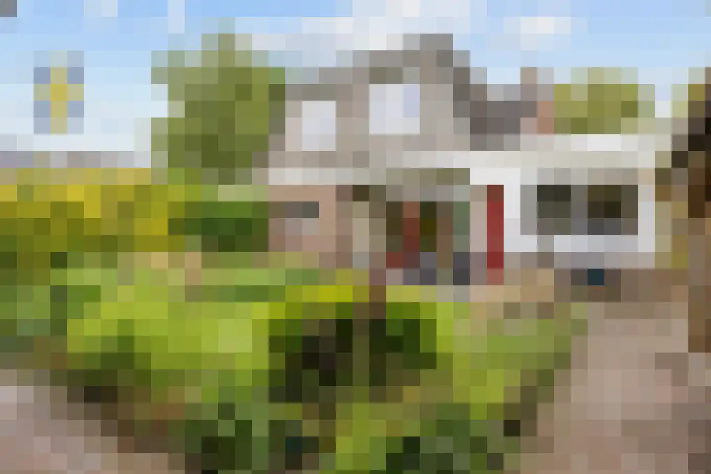 Laweijstraat 19 Haulerwijk thumbnail 50