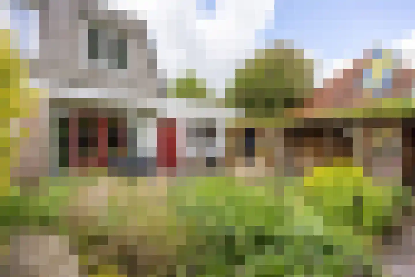Laweijstraat 19 Haulerwijk thumbnail 51