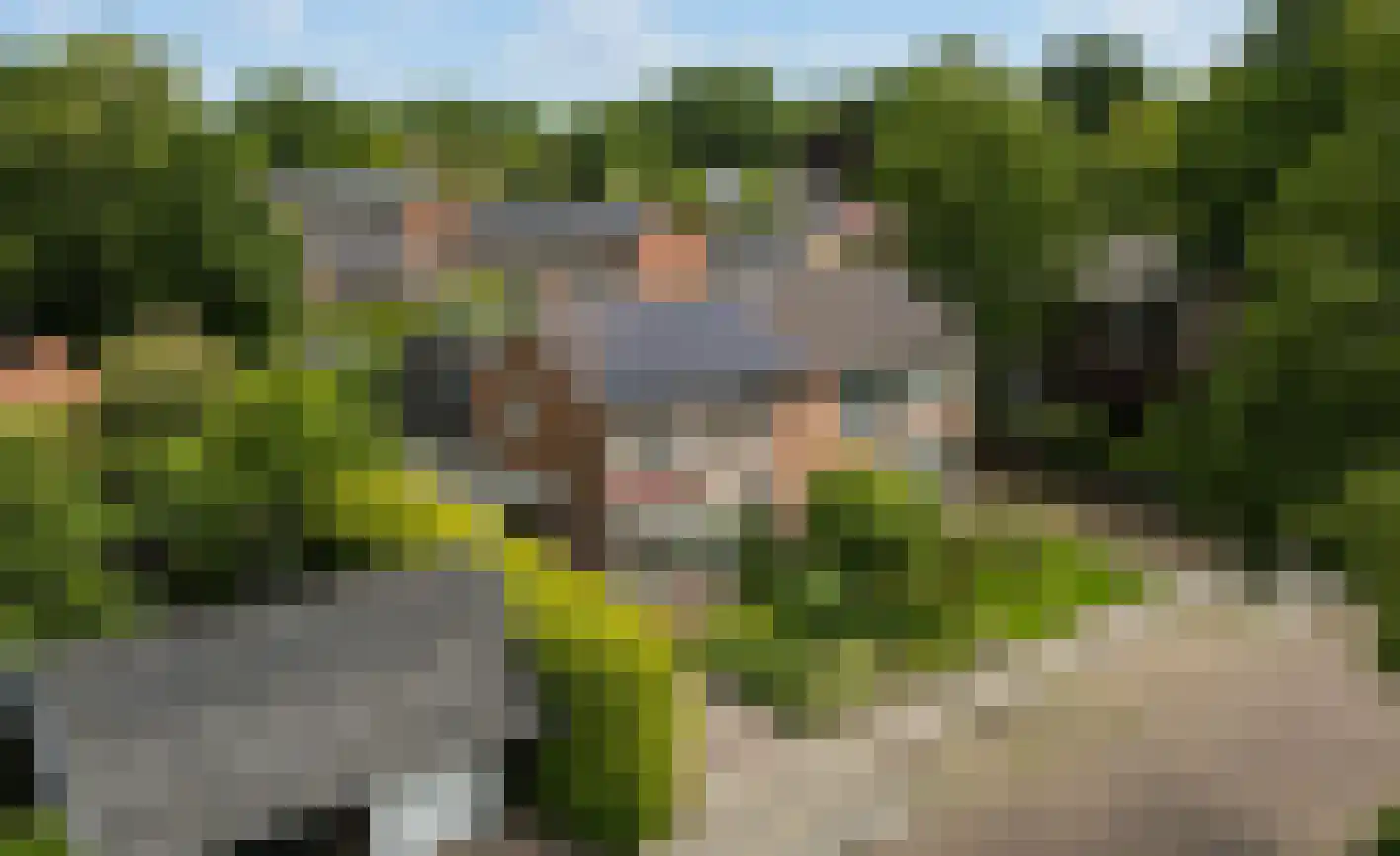 Laweijstraat 19 Haulerwijk thumbnail 57