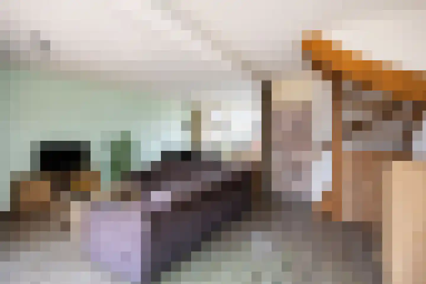 Laweistraat 33 De Wilp thumbnail 19