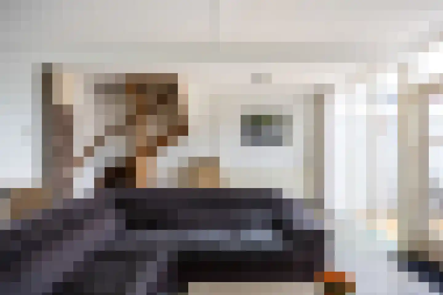 Laweistraat 33 De Wilp thumbnail 20