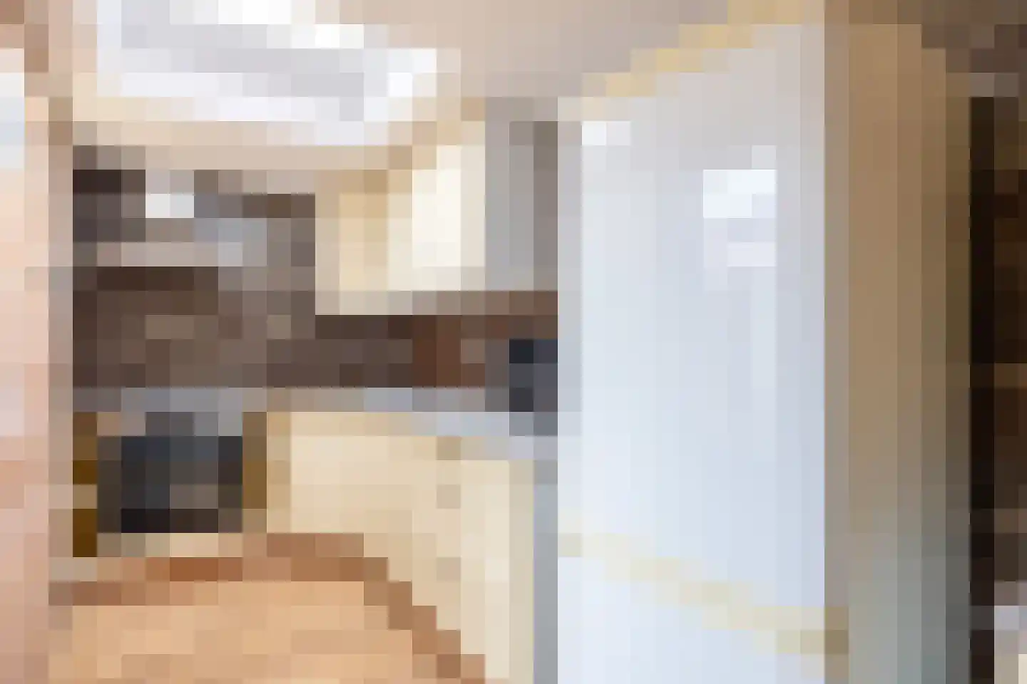 Laweistraat 33 De Wilp thumbnail 24