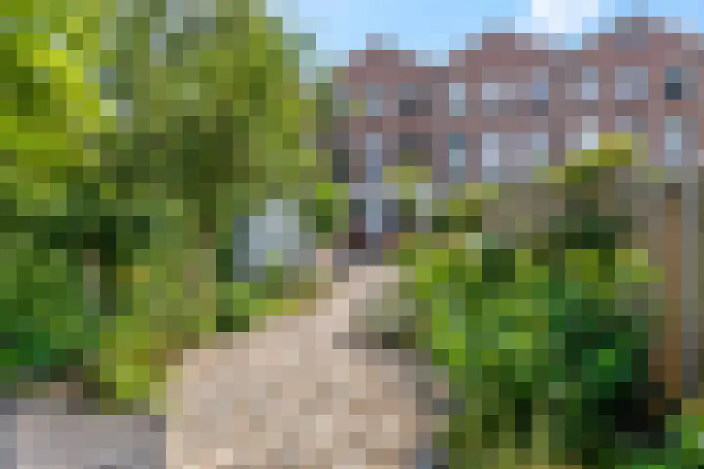 Lawickse Allee 104 Wageningen foto 2