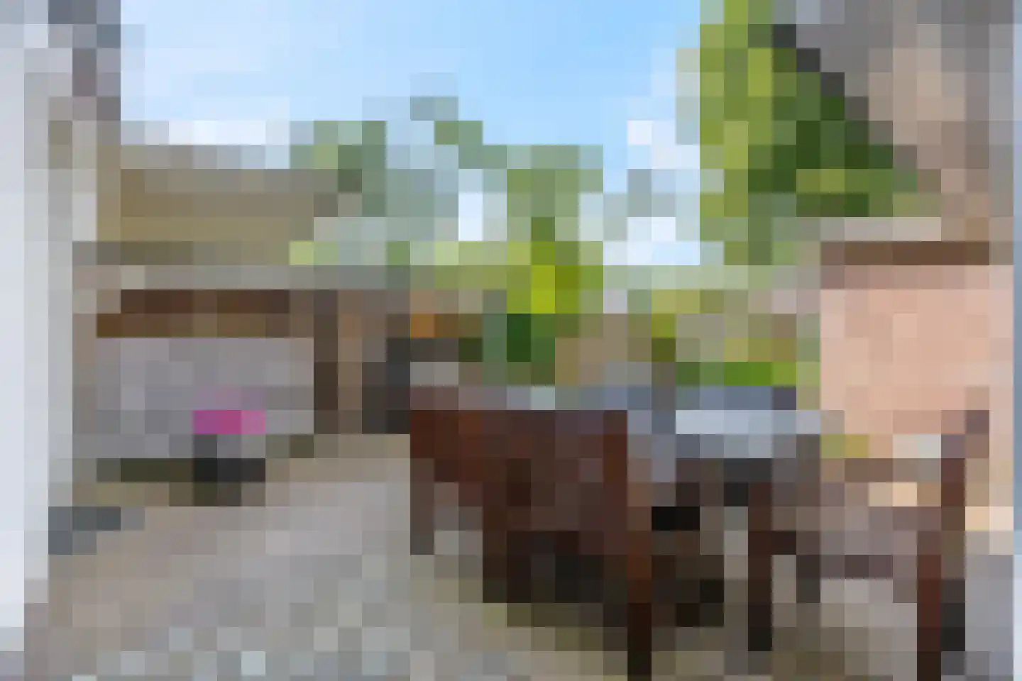 Lawickse Allee 104 Wageningen thumbnail 43