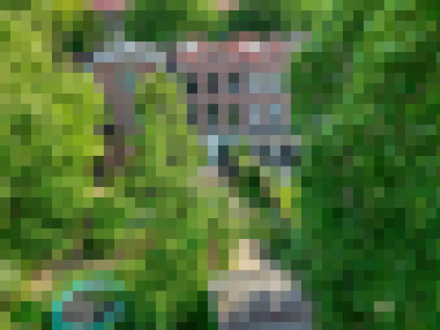 Lawickse Allee 104 Wageningen thumbnail 53