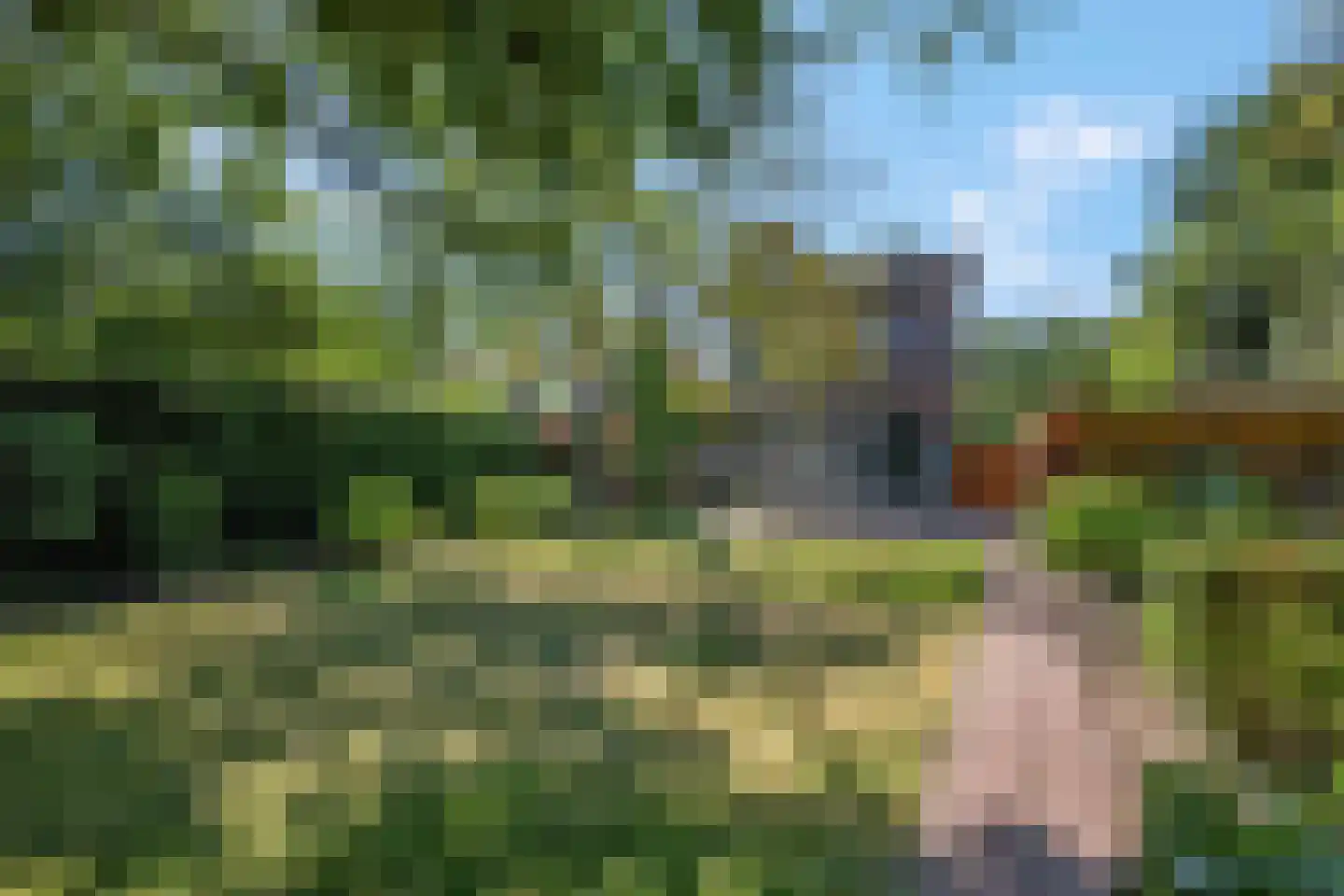 Lawickse Allee 124 Wageningen thumbnail 51