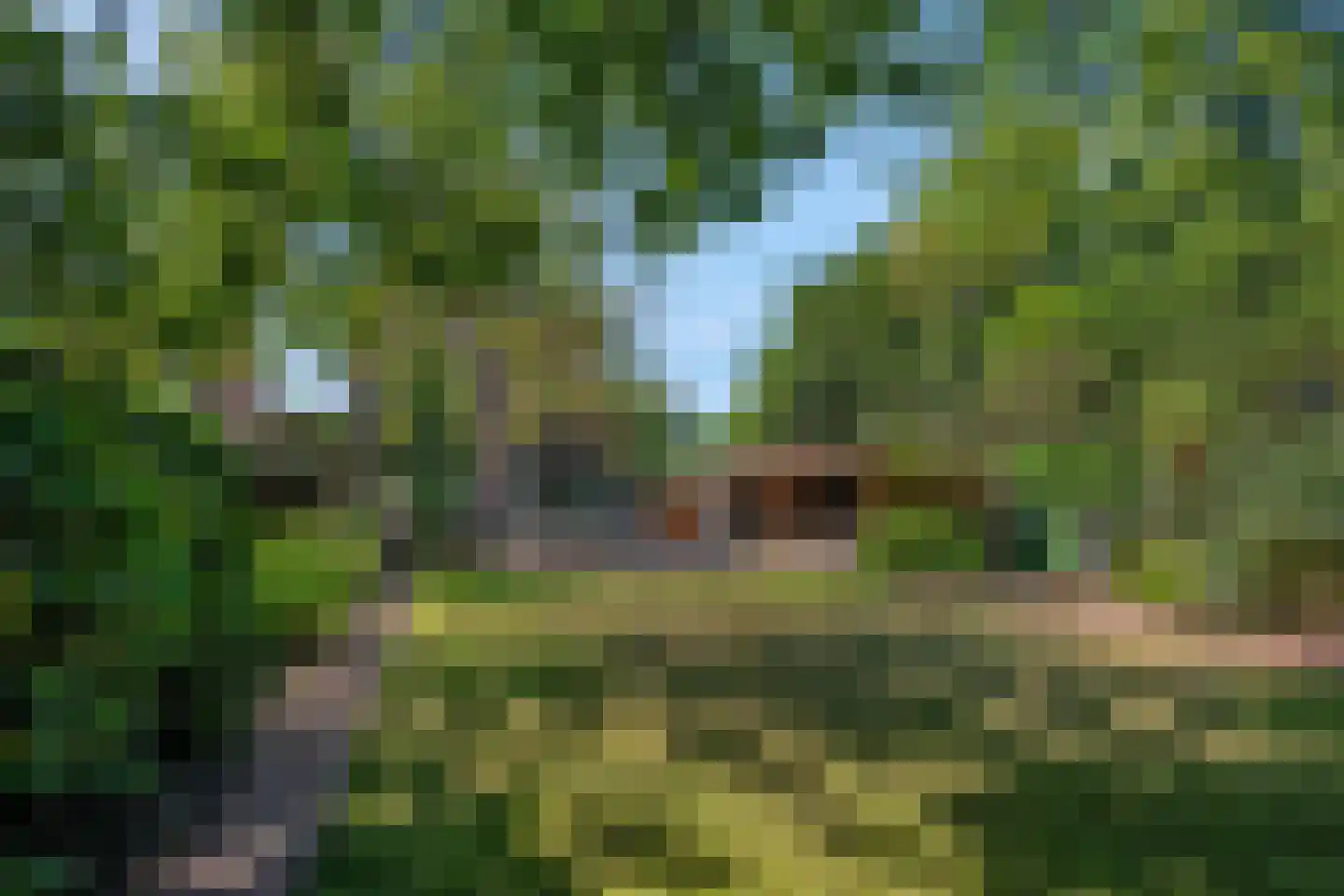 Lawickse Allee 124 Wageningen thumbnail 52