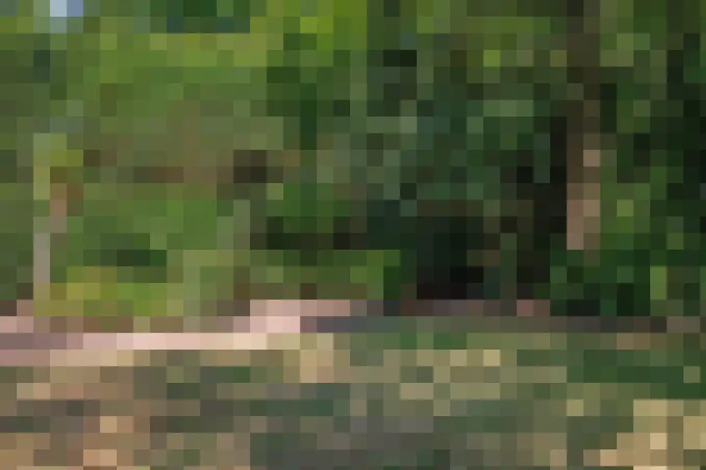 Lawickse Allee 124 Wageningen thumbnail 53