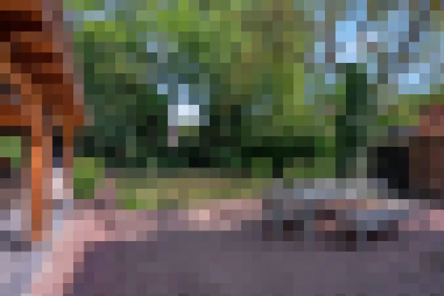 Lawickse Allee 124 Wageningen thumbnail 54