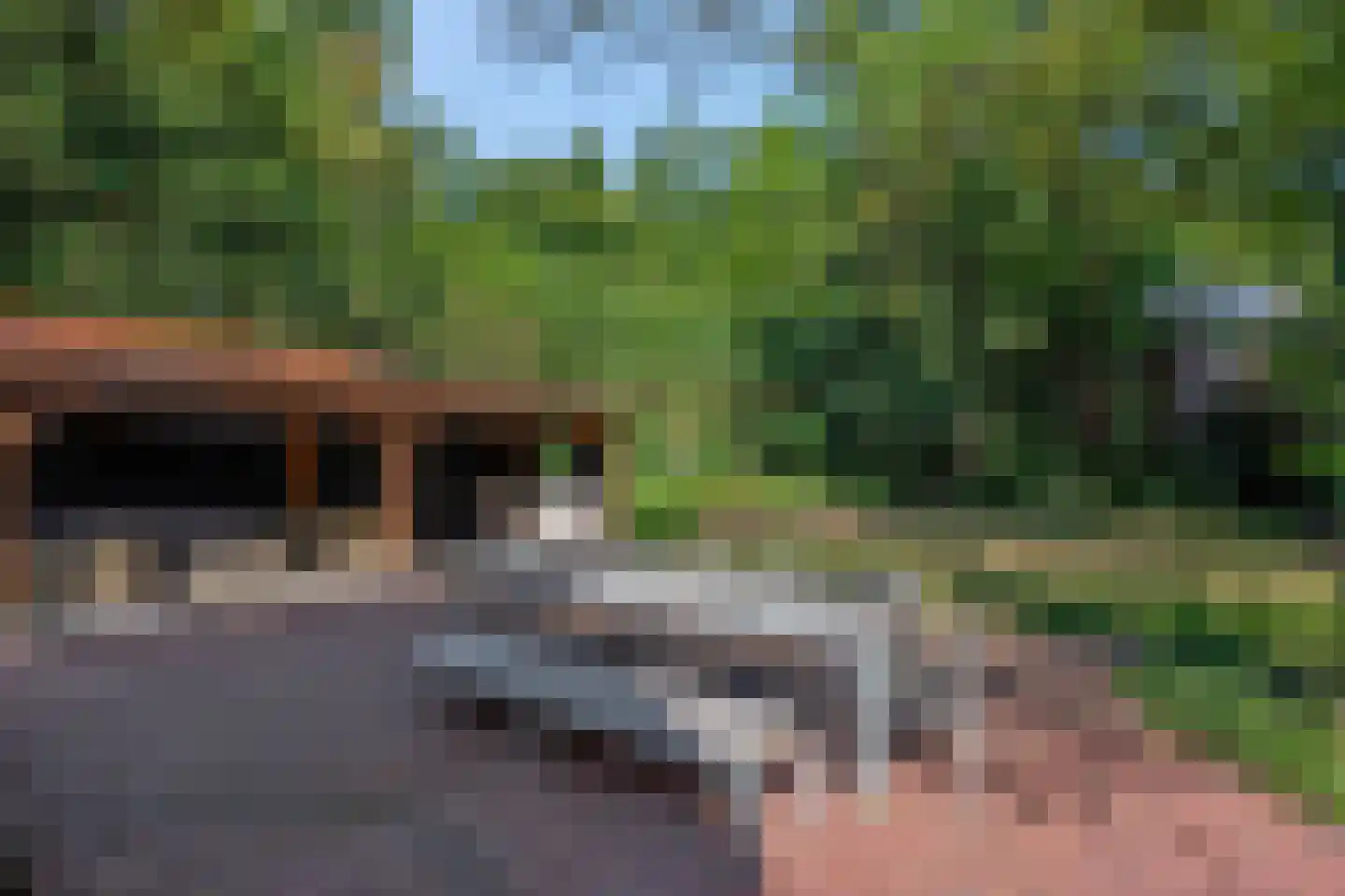 Lawickse Allee 124 Wageningen thumbnail 55